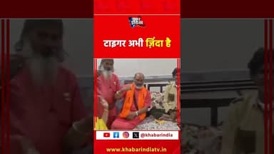 टाइगर अभी ज़िंदा है #reels #viralvideo #shortsfeed #hindu #muslim #mandir #exmuslim #saleemwastik