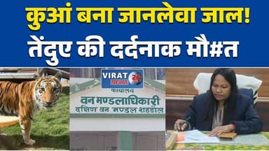 शहडोल में दर्दनाक घटना: खुले कुएं में गिरने से तेंदुए के शावक की मौ#त #शहडोल #WildlifeNews #Leopard #वन्यजीव #ForestDepa...