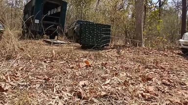 💠 सतपुड़ा टाइगर रिजर्व के रेडियो-कॉलर युक्त नर बाघ का सफल रेस्क्यू, तीन दिन चला अभियान के बाद बाघ को उपयुक्त एवं सुरक्षि...