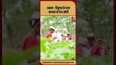 असम : डिब्रूगढ़ के चाय बागान में PM मोदी #shorts #trending #pmmodi #like #share #assam #viral #like