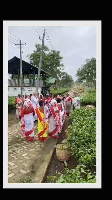 #वन्देभारतन्यूज़ #प्रवीणकुमार :बड़ी खबर: आज पीएम मोदी ने असम के हरे-भरे चाय बगानों में इतिहास रच दिया! 🌿
प्रधानमंत्री ने ...