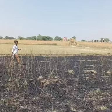 11 हजार लाइन के शॉर्ट सर्किट से लगी आग—फसल जलकर राख
थरियांव के सुकुई गांव में बड़ा नुकसान—किसानों में मचा हड़कंप
देख...