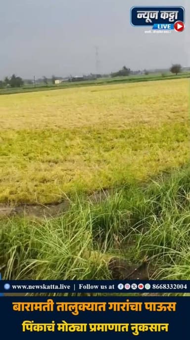 BARAMATI BREAKING : बारामती तालुक्यात आज गारांसह जोरदार पावसानं हजेरी लावली.. यात मोठ्या प्रमाणात पिकांचं नुकसान झालं आह...