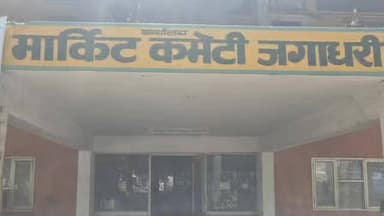 यमुनानगर अनाजमंडी में बायोमेट्रिक सत्यापन बना किसानों के लिए मुसीबत, नए नियमों का किसान यूनियन कर रही विरोध।।
#HaryanaNe...