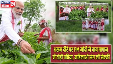 असम दौरे पर PM मोदी ने चाय बागान में तोड़ी पत्तियां, महिलाओं संग ली सेल्फी | #Narendra_Modi | Assam