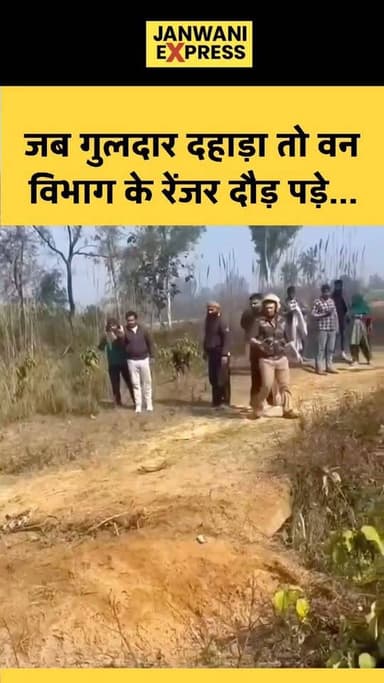 नजीबाबाद क्षेत्र के अकबरपुर चौगावां गांव में शिकारी खटके में एक गुलदार फंस गया।
रेस्क्यू के लिए पहुंची टीम के दौरान जब ...