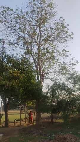 झाझा प्रखंड के दादपुर गांव मैं वासुदेव यादव के पूरे परिवार को मारा #news # public #video #viral @jhajha upload.