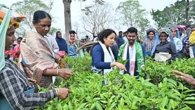 कल्पना सोरेन और जोबा माझी पहुंची असम के चाय बागान, मजदूरों से की मुलाकात
असम विधानसभा चुनाव में बुधवार को चबुआ विधानसभा...