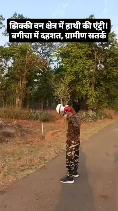 झिक्की वन क्षेत्र में हाथी की एंट्री! बगीचा में दहशत, ग्रामीण सतर्क 🐘🚨
#ElephantAlert #JashpurNews #Bagicha #BreakingNew...