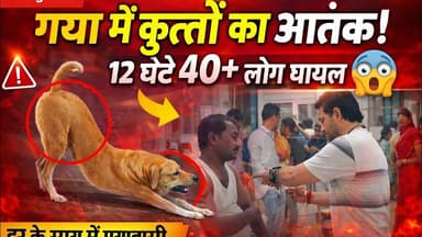 News1 गयाजी मैं कुत्तों का आतंक 12 घंटे 40 लोगों को काटा #news1 #viralvideo #gaya #dog