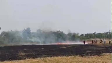 हरनौत: बराह गांव के खंधा में शॉर्ट सर्किट से गेहूं की फसल में आग, 15-20 बीघा फसल जलकर नष्ट