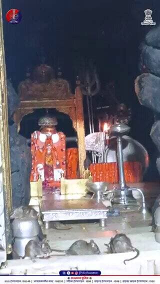 आस्था के साथ मजबूत पुलिसिंग का संदेश।
@RajCMO @DIPRRajasthan @Rajeev_ips @Bikaner_Police
#RajasthanPolice
#UdaipurPolic...