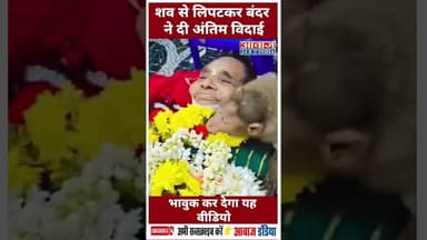 शव से लिपटकर बंदर ने दी अंतिम विदाई. भावुक कर देगा यह वीडियो #videoviral #Karnatakanews