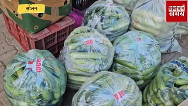 2 अप्रैल 2026 को हिमाचल की सोलन सब्जी मंडी में भाव
हिमाचल समय - Himachal Samay Media #heavysnofall #vikrmadityesingh #e...