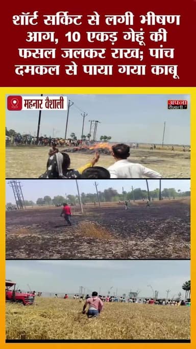 शॉर्ट सर्किट से लगी भीषण आग, 10 एकड़ गेहूं की फसल जलकर राख; पांच दमकल से पाया गया काबू