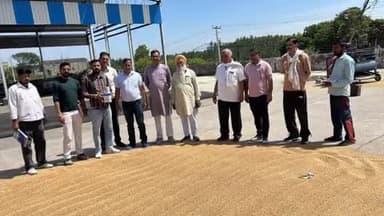 अम्बाला: मुलाना की अनाज मंडी में गेहूं की सरकारी खरीदी शुरू, 2092 क्विंटल हुई आवक