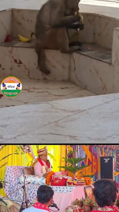 Live: अचानक शिवलिंग के पास प्रकट हुए बजरंग बली,
प्राचीन श्री हनुमान मंदिर गोरखूवाला में हनुमान जयंती तथा श्रीमद भागवत क...