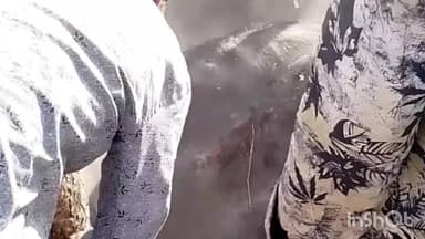 अरनोद: बेड़मा में अधूरी नाली बनी हादसों का कारण, भैंस गिरकर गंभीर घायल, ग्रामीणों में बढ़ा रोष