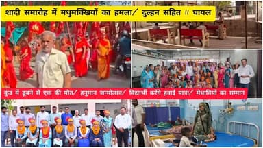 शादी समारोह में मधुमक्खियों का हमला/ दुल्हन सहित 11 घायल/ कुंड में डूबने से एक की मौत/ हनुमान जन्मोत्सव/ विद्यार्थी करें...