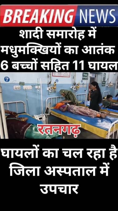 शादी समारोह में मधुमक्खियों का आतंक, छह बच्चों सहित 11 घायल