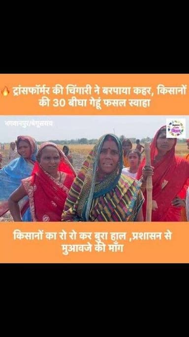 🔥 ट्रांसफार्मर की चिंगारी से किसानों पर आफत, 20-30 बीघा गेहूं जलकर राख
#BegusaraiNews #Begusarai #BiharNews