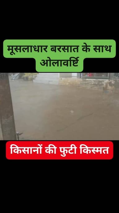 पदमपुर के बींझबायला सहित आसपास के क्षेत्र मे तेज हवा के साथ मूसलाधार बारिश और ओलावृष्टि,
किसानों के माथे पर चिंता की लकी...