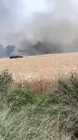 भोरे थाना क्षेत्र के उतरप्रदेश बॉर्डर समीप देऊरवा के एक खेत में लगी आग 1बीघा खेत जलकर खाक