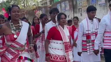 जशपुर: जशपुर में सरहुल परब पर आदिवासी संस्कृति की झलक, रैली और सामूहिक नृत्य से गूंजा दीपू बगीचा