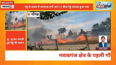 गेहूं के फसल में अचानक लगी आग 11 बीघा गेहूं जलकर हुआ राख
#dmgonda2 #cmyogiadityanathji #UttarPradesh