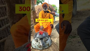 300 साल पुराने कछुआ का चामत्कार !! #baba #kachhua #chamtkar #trend #viralvideo #shortsfeed #reels