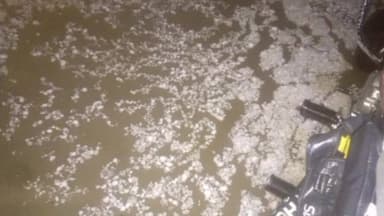 किसानो को नुकसान हुआ
#rahulsewagjhajhu #dpknews #kolayat #LatestNews #bikaner