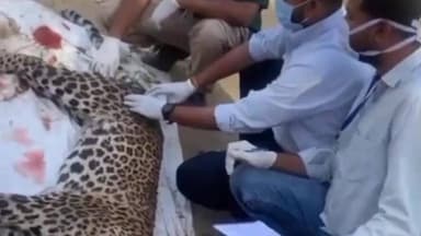 बज्जु से खबर
#rahulsewagjhajhu #dpknews #kolayat #bikaner #LatestNews