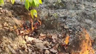 कोडरमा
डोमचांच के कोडरमा गिरिडीह मुख्य मार्ग स्थित माँ चंचालिनी मुख्य द्वारा के समीप जंगल में लगी आग।