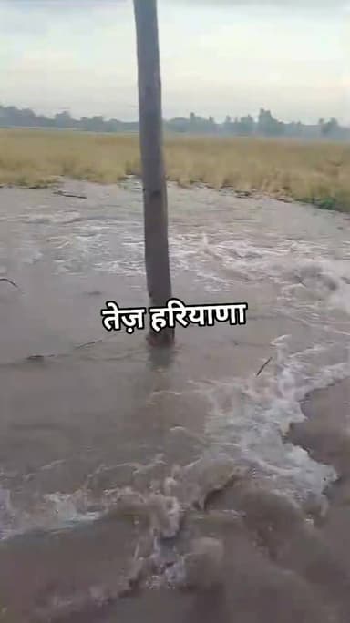 अबूबशहर के ईंट भट्ठा के नजदीक टूटी तेजाखेड़ा माइनर, रात से कॉल नही उठा रहे अधिकारी, किसानों ने लगाए आरोप