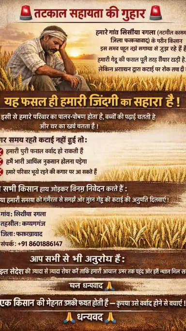 🚨 तुरंत मदद की अपील 🚨
हमारे गांव सिसैया नगला (तहसील कायमगंज, जिला फर्रुखाबाद) में गेहूं की कटाई पर रोक लगा दी गई है, ज