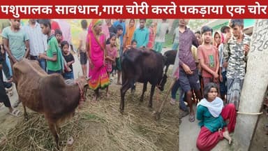 पशुपालक हो जाए सावधान, गाय-भैंस की हो रही चोरी रगें हाथ पकड़ाया एक चोर 3 चोर पिक-अप वैन लेकर फरार
#चोरी #बकहरिया #गायच...