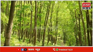 #BJPNEWS #Congress #CPIM गंगानगर कलक्टर का 47 साल पुराना लेटर हनुमानगढ़ जिले के 130 गांवों के लोगों को क्यों कर रहा है