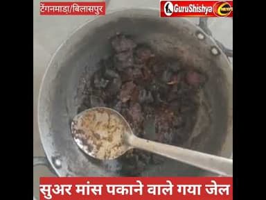 जंगली सुअर के मांस के साथ 5आरोपी भेजा गया जेल #latestnews #bilaspurdistrict