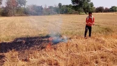 निवाड़ी: पुछीकरगुवाँ पढ़ुआ हार में बिजली विभाग की लापरवाही से नरवाई में आग