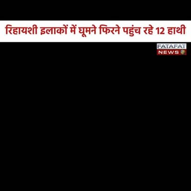 छत्तीसगढ़ ने सरगुजा जिले के मैनपाट वन परिक्षेत्र में हाथियों का आतंक लगातार बढ़ता जा रहा है। माटी घाट के जंगलों में 12 ह...
