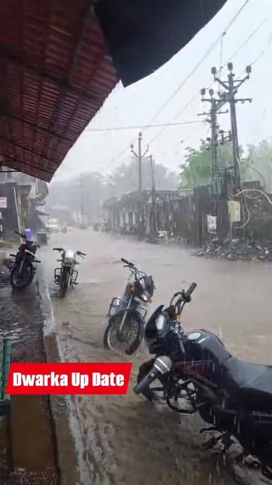 દેવભૂમિ દ્વારકા જિલ્લામાં અચાનક માવઠાએ ઉનાળામાં જ ચોમાસા જેવી પરિસ્થિતિ ઊભી કરી છે...
ભાણવડ વિસ્તારમાં ઝાપટા પડ્યા હતા,...