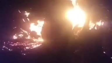 निवाड़ी: चचावली में आकाशीय बिजली से महुआ का पेड़ जला, फायर ब्रिगेड ने बड़ा नुकसान टाला