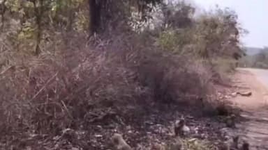 गोमिया: रामगढ़ में दर्दनाक हादसे में 3 लोगों की मौत, बड़की पुन्नू और महुआटांड़ के ग्रामीण रहें सतर्क