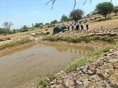 झाबुआ: जल गंगा संवर्धन अभियान के तहत ज़िला पंचायत सीईओ ने प्रगतिरत कार्यों का किया निरीक्षण