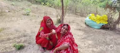 अजीतमल: आदमपुर गांव में झोपड़ी के बाहर बंधी बकरियों पर जंगली जानवर के हमले से 4 बकरियों और 2 बकरों की मौत, 80 हजार का नुकसान