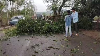 କୋରାପୁଟ: କାଳବୈଶାଖୀ ର ପ୍ରଭାଵ। କୋରାପୁଟ୍ ରାୟଗଡା 326 ନମ୍ବର ଜାତୀୟ ରାଜପଥର ପୋଡାଗଡ ଓ ବଂଗଲଗୁଡ଼ା ରେ ଗଛପଡି ରାସ୍ତା ଅବରୋଧ