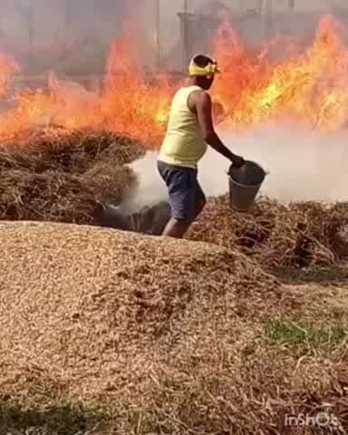 अरवल: अबगीला और ताजन बीघा के किसानों को शॉर्ट सर्किट से आग लगने से लाखों का नुकसान