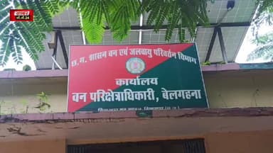 कोटा :जंगली सूअर शिकार मामले में 5आरोपी गिरफ्तार,14 दिन न्यायिक अभिरक्षा में भेजा गया जेल
#forest #jungle #chhatisgargh