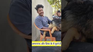 दिमाक में बहम मत पालो #funny #bhojpurisinger #highlights2025