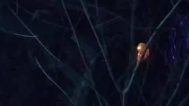 पिंडवाड़ा: बनास के पास निजी एंबुलेंस पलटने से चालक घायल, 108 एंबुलेंस ने मौके पर पहुंचकर प्राथमिक उपचार किया